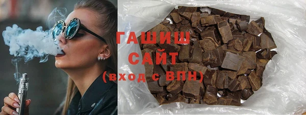 стаф Щигры