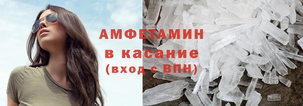 стаф Щигры