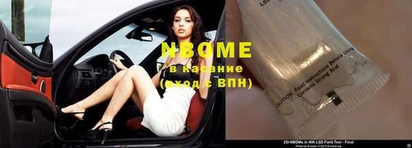 стаф Щигры