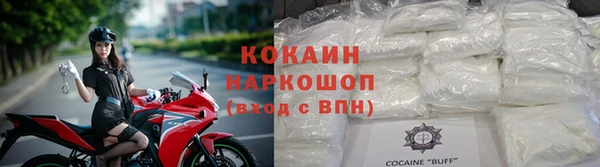 стаф Щигры