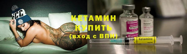 стаф Щигры