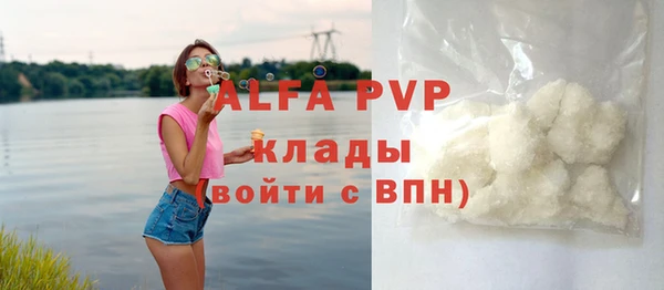 стаф Щигры