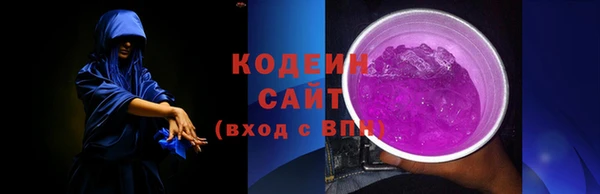 стаф Щигры