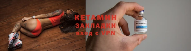 стаф Щигры
