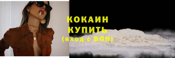 кокс Шали
