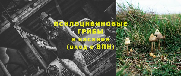 соль курить ск Щучье