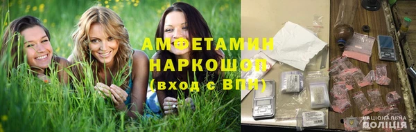 стаф Щигры