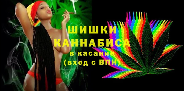 стаф Щигры