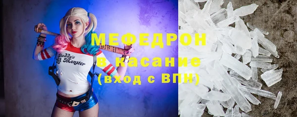 стаф Щигры