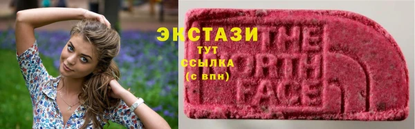 стаф Щигры