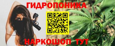 спиды Берёзовский