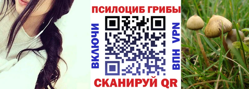 Псилоцибиновые грибы Psilocybe  Белогорск 
