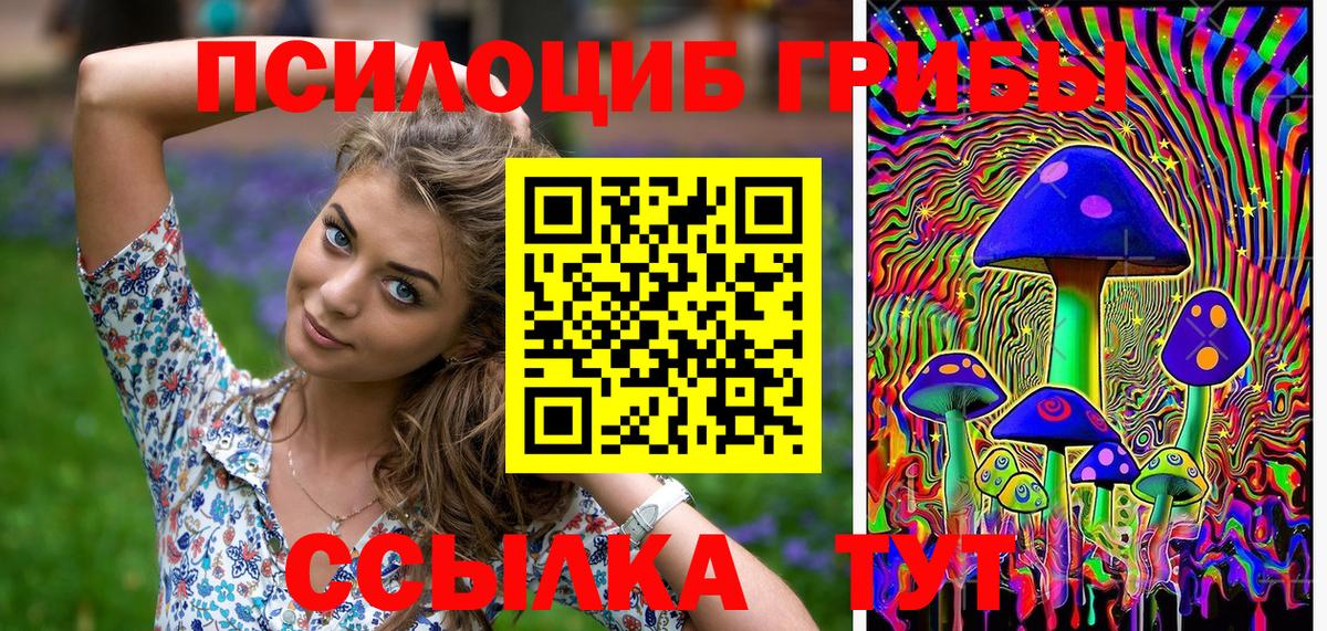 Галлюциногенные грибы Psilocybe  Вход с VPN  Белогорск 